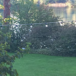 Photo n°8 de l'avis de Ale.t fait le 03/10/2022 à 16:33 sur le  Ca' del Sile à Morgano