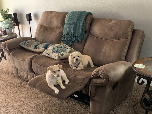 Furniture Store «National Furniture Liquidators», reviews and photos, 8600 Gateway Blvd E, El Paso, TX 79907, USA