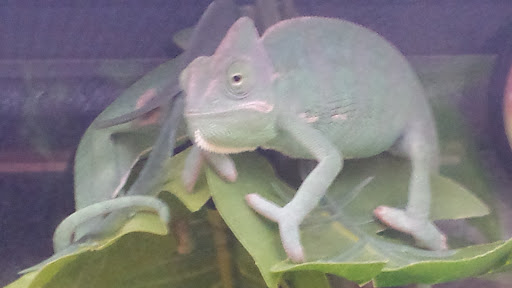 Pet Supply Store «Petco Animal Supplies», reviews and photos, 247 N Washington Hwy, Ashland, VA 23005, USA