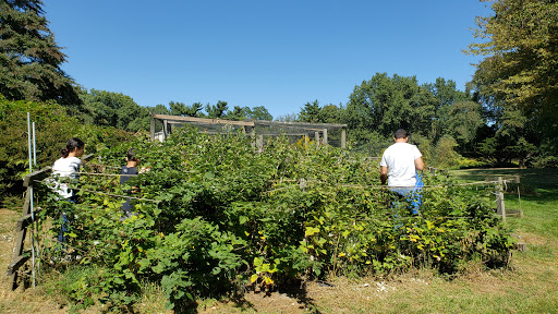 Park «Hart`s Brook Park and Preserve», reviews and photos, 156 Ridge Rd, Hartsdale, NY 10530, USA