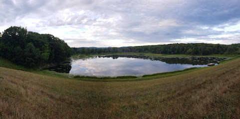 Sullivanville Dam
