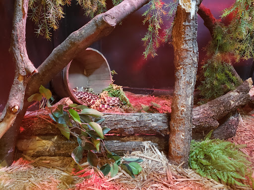 Zoo «Lake Superior Zoo», reviews and photos, 7210 Fremont St, Duluth, MN 55807, USA