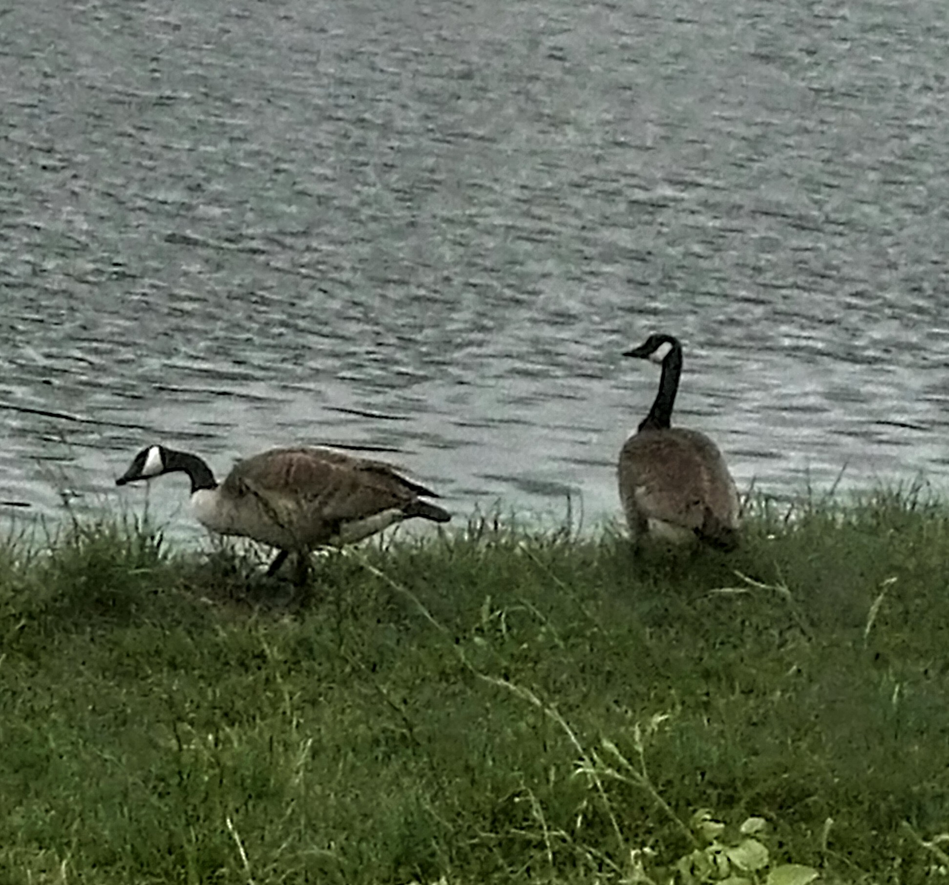 Photo n° 1 de l'avis de Valentine. fait le 16/06/2022 à 16:35