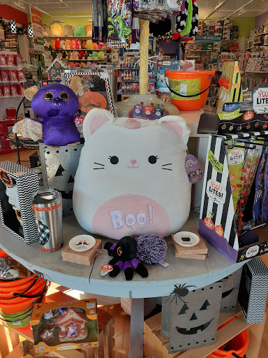 Toy Store «Learning Express», reviews and photos, 420 Cool Springs Blvd, Franklin, TN 37067, USA