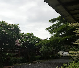 ทัศนีย์ รีสอร์ท photo
