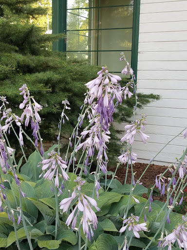 Event Venue «Modern Living Building», reviews and photos, 1301 S Fair Ave, Yakima, WA 98901, USA