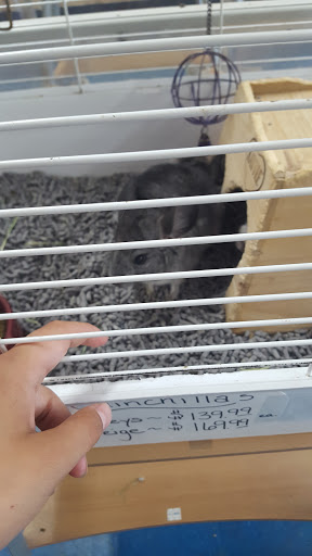 Pet Store «V.I. Pets», reviews and photos, 11975 E Lakewood Blvd, Holland, MI 49424, USA