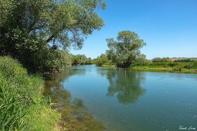 Pont de Champneuville sur la Meuse à Champneuville