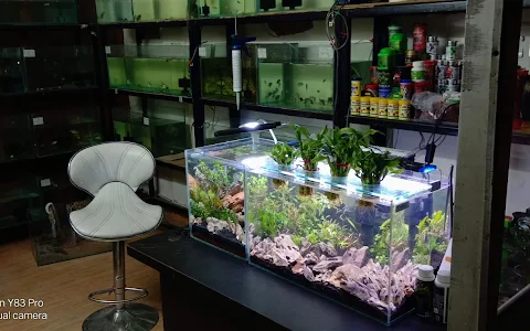 Online Aquarium Accessories image