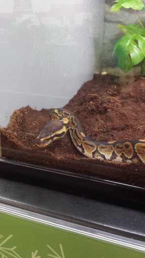 Pet Supply Store «Petco Animal Supplies», reviews and photos, 217 Oak Lee Dr #16, Ranson, WV 25438, USA