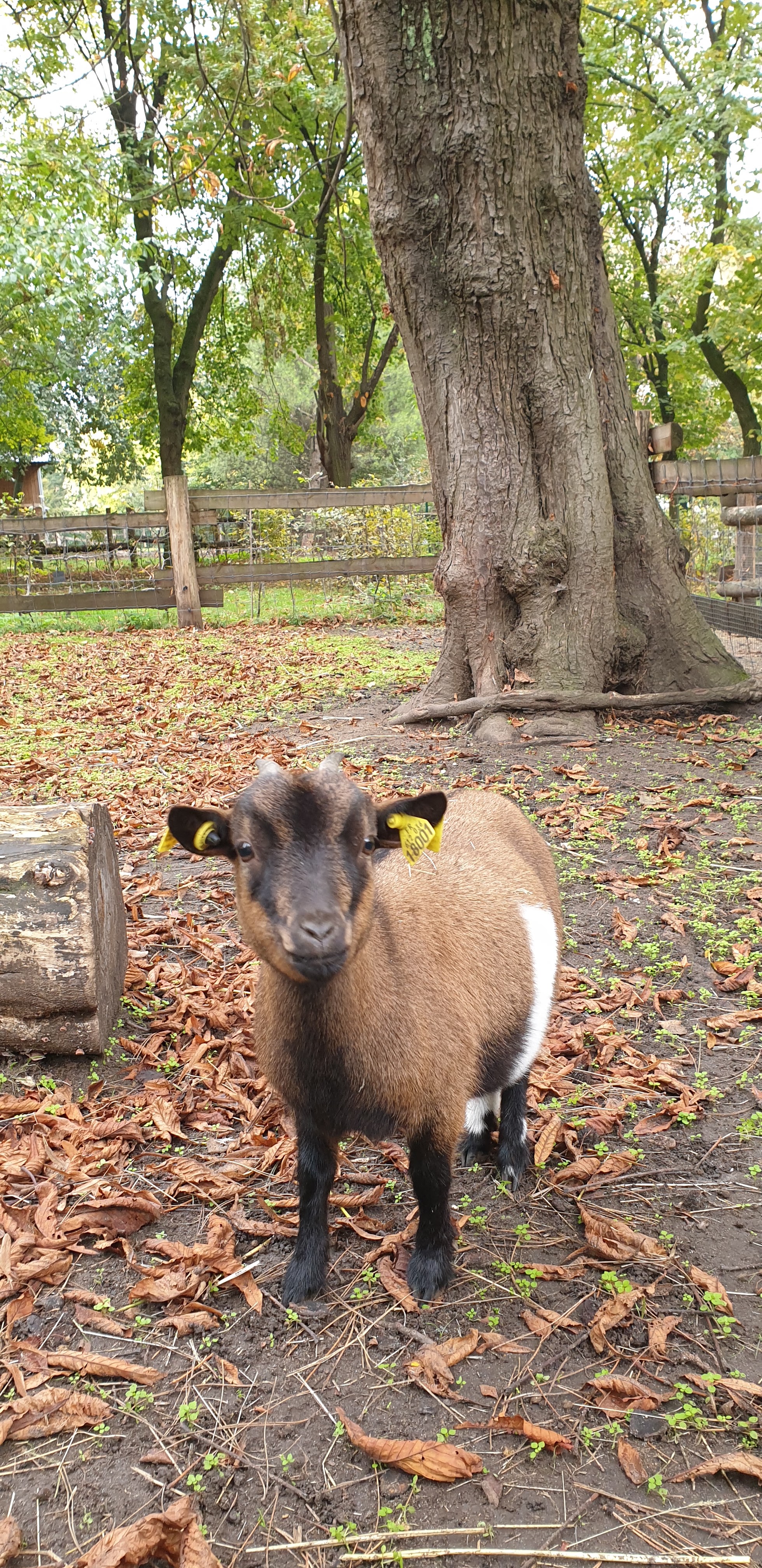 Photo n° 34 de l'avis de Julien.' fait le 23/10/2019 à 14:35