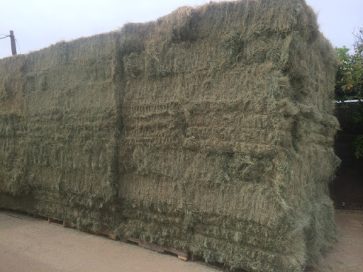 Animal Feed Store «Western Ranchman Store», reviews and photos, 16028 N 32nd St, Phoenix, AZ 85032, USA