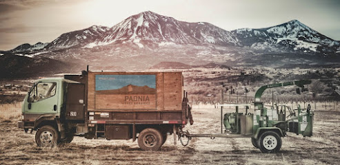 Paonia Tree Services