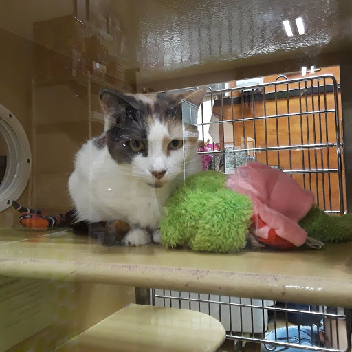 Pet Supply Store «PetSmart», reviews and photos, 7765 Airport Blvd #901, Mobile, AL 36608, USA