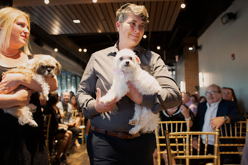 Pet Supply Store «Pet Supplies Plus», reviews and photos, 2001 E 7th St, Charlotte, NC 28204, USA