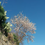 Photo n°6 de l'avis de Giovanni.u fait le 11/02/2020 à 22:42 sur le  Ristorante Noemi dal 1988 à Gallodoro