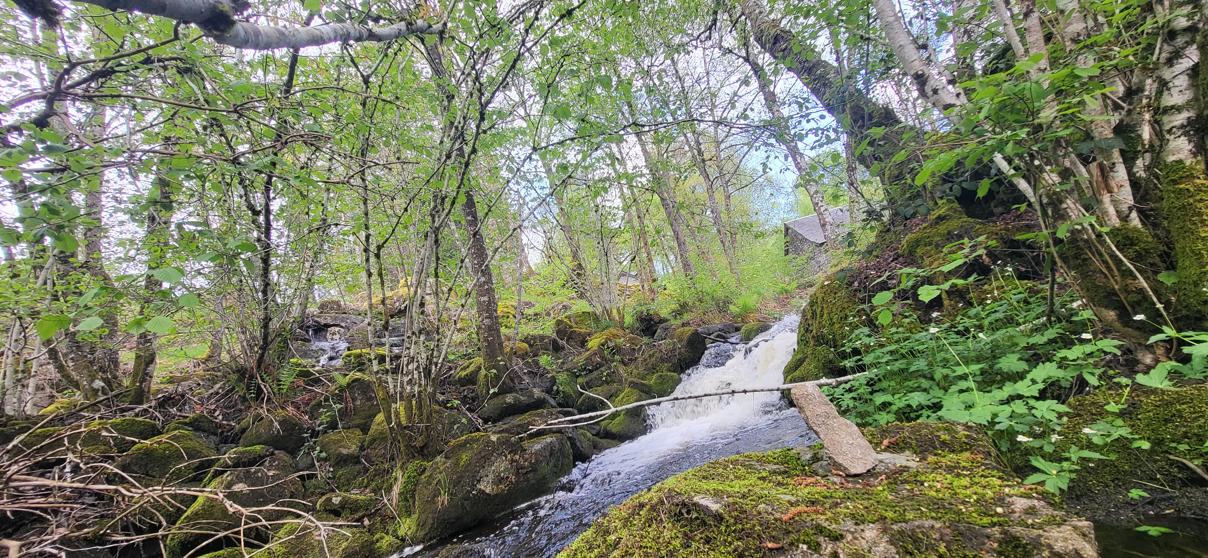 Photo n° 10 de l'avis de Christophe.e fait le 25/05/2023 à 19:09