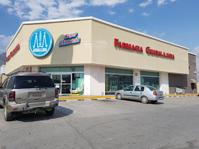 Farmacia Guadalajara Real De Palmas 110, Valle De Lincoln, 66026 Monterrey, N.L. Mexico