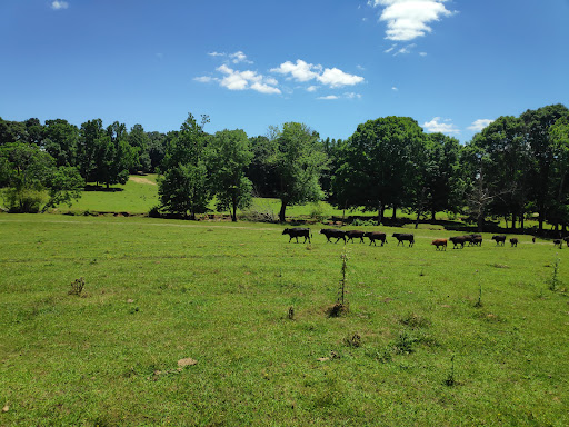 Farm «Warbington Farms (U-Pick Strawberries)», reviews and photos, 5555 Crow Rd, Cumming, GA 30041, USA