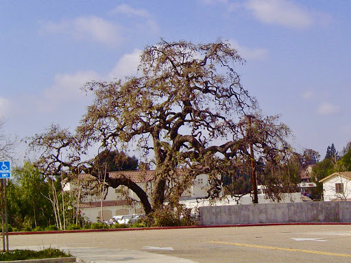 Performing Arts Theater «Thousand Oaks Civic Arts Plaza», reviews and photos, 2100 Thousand Oaks Blvd, Thousand Oaks, CA 91362, USA