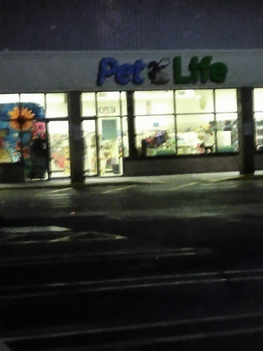 Department Store «HomeGoods», reviews and photos, 309 Newbury St, Danvers, MA 01923, USA