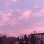 Photo n°29 de l'avis de Federico.r fait le 23/03/2024 à 21:44 sur le  Pizzeria Ristorante Del Corso à Forli