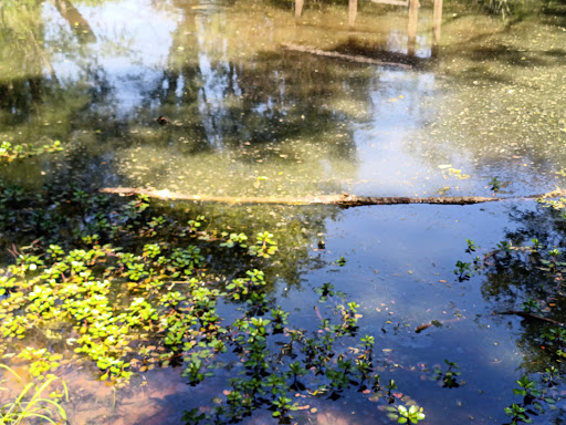 Nature Preserve «Creasey Mahan Nature Preserve», reviews and photos, 12501 Harmony Landing Rd, Goshen, KY 40026, USA