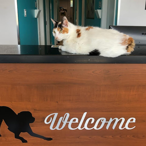 Laurentian Hills Animal Hospital image