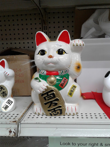 Asian Grocery Store «Brandon Oriental Market», reviews and photos, 112 Pauls Dr, Brandon, FL 33511, USA