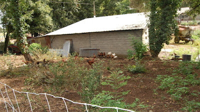 Ferme de l'ombrail à Meursac