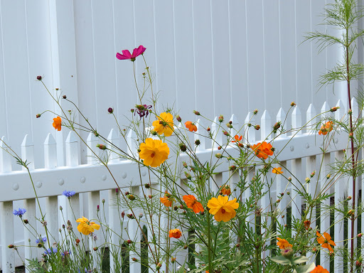 Park «Browns Point Light House Park», reviews and photos, 201 Tulalip St NE, Tacoma, WA 98422, USA