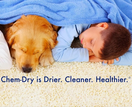 Carpet Cleaning Service «Chem-Dry of Tennessee», reviews and photos, 738 Nissan Dr C, Smyrna, TN 37167, USA