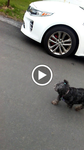 Pet Supply Store «Petco Animal Supplies», reviews and photos, 10 Waterfront Pl, Port Chester, NY 10573, USA