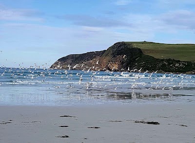 Photos of Discovery Bay Marine National Park