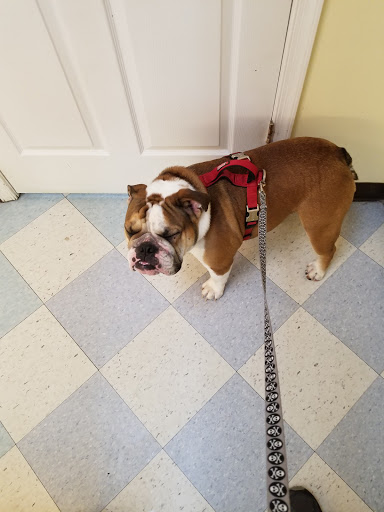 Pet Supply Store «Pet World», reviews and photos, 6527 Centralia Rd, Chesterfield, VA 23832, USA