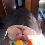 Photo n°10 de l'avis de Gianluca.i fait le 30/04/2017 à 00:12 sur le  Il Delfino à Pero