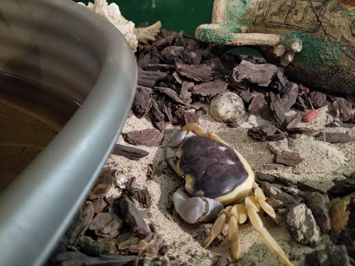 Pet Store «Tanks Pet Supply», reviews and photos, 628 S Main St, Princeton, IL 61356, USA