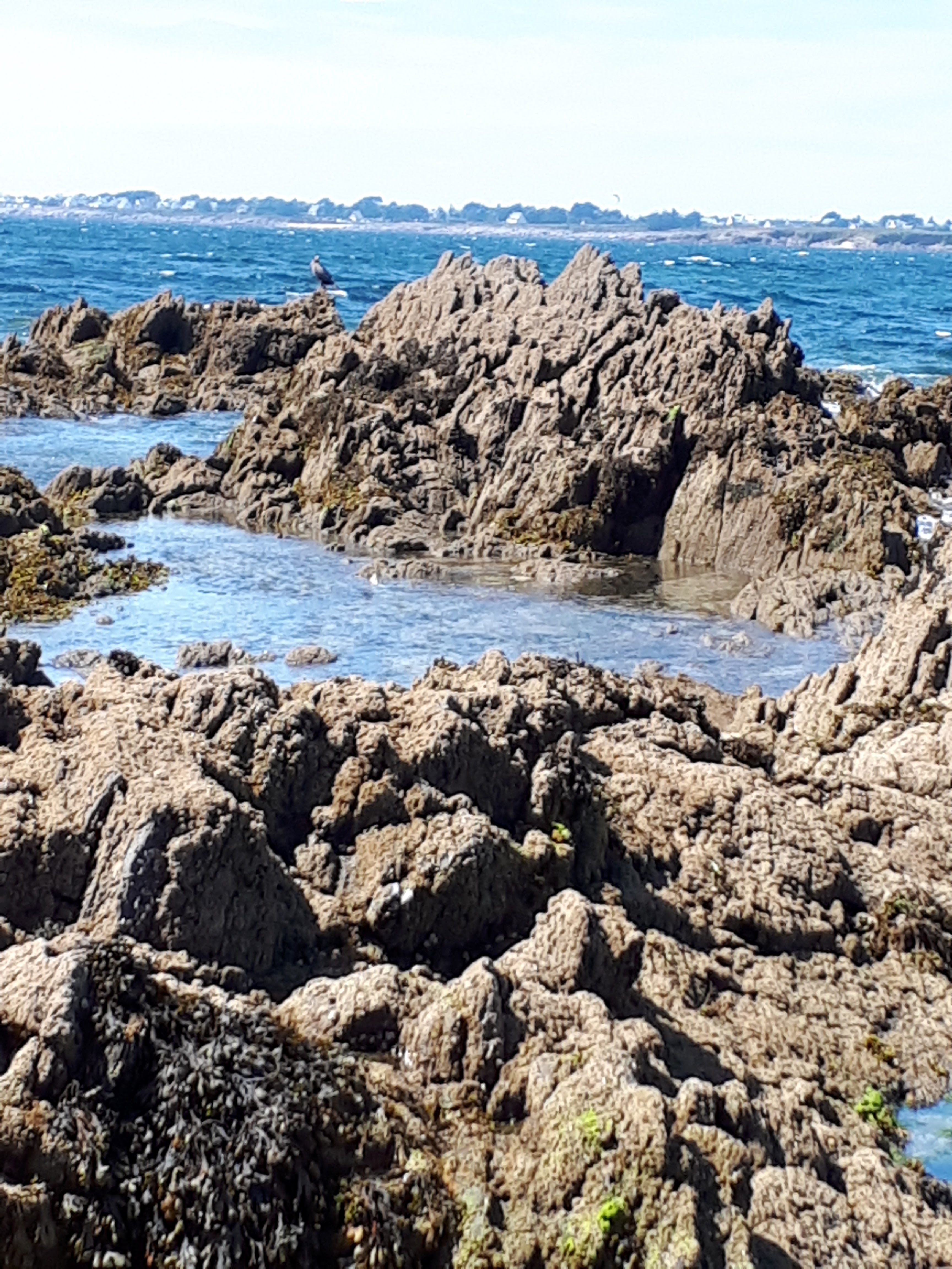 Photo n° 3 de l'avis de Noelle.e fait le 19/08/2018 à 16:13