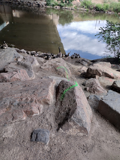 Park «Fishback Park», reviews and photos, 818 Water St, Denver, CO 80211, USA