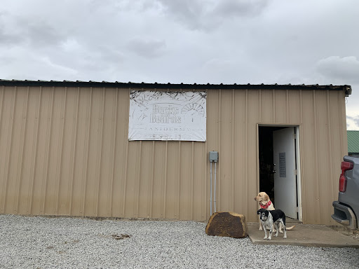 Bucks N Beards Taxidermy LLC