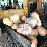 Photo n°17 de l'avis de Giuliana.r fait le 10/07/2018 à 15:37 sur le  Ristorante Passo Del Mercante à Mammola