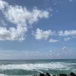 Photo n°14 de l'avis de Wakacje. fait le 06/12/2023 à 21:44 sur le  Calypso Ristorante Pizzeria à Belvedere Marittimo