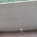 Photo n°1 de l'avis de All.i fait le 10/07/2020 à 05:23 sur le  Hotel & Residence Dei Duchi à Urbino