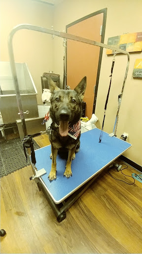 Pet Store «Pet Valu», reviews and photos, 2645 Shillington Rd, Sinking Spring, PA 19608, USA