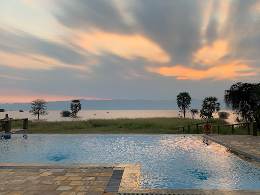 Travel Agency «Biotrek Adventure Travels», reviews and photos, 81 Main St, Warrenton, VA 20186, USA