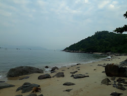 Valokuva Group Beachista. villi alue