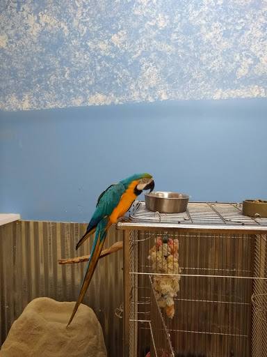 Zoo «Jozee Rooz Indoor Petting Zoo», reviews and photos, 120 138th St S, Tacoma, WA 98444, USA