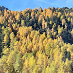 Photo n°5 de l'avis de Flo.r fait le 11/10/2022 à 20:07 sur le  Latscher Alm à Latsch