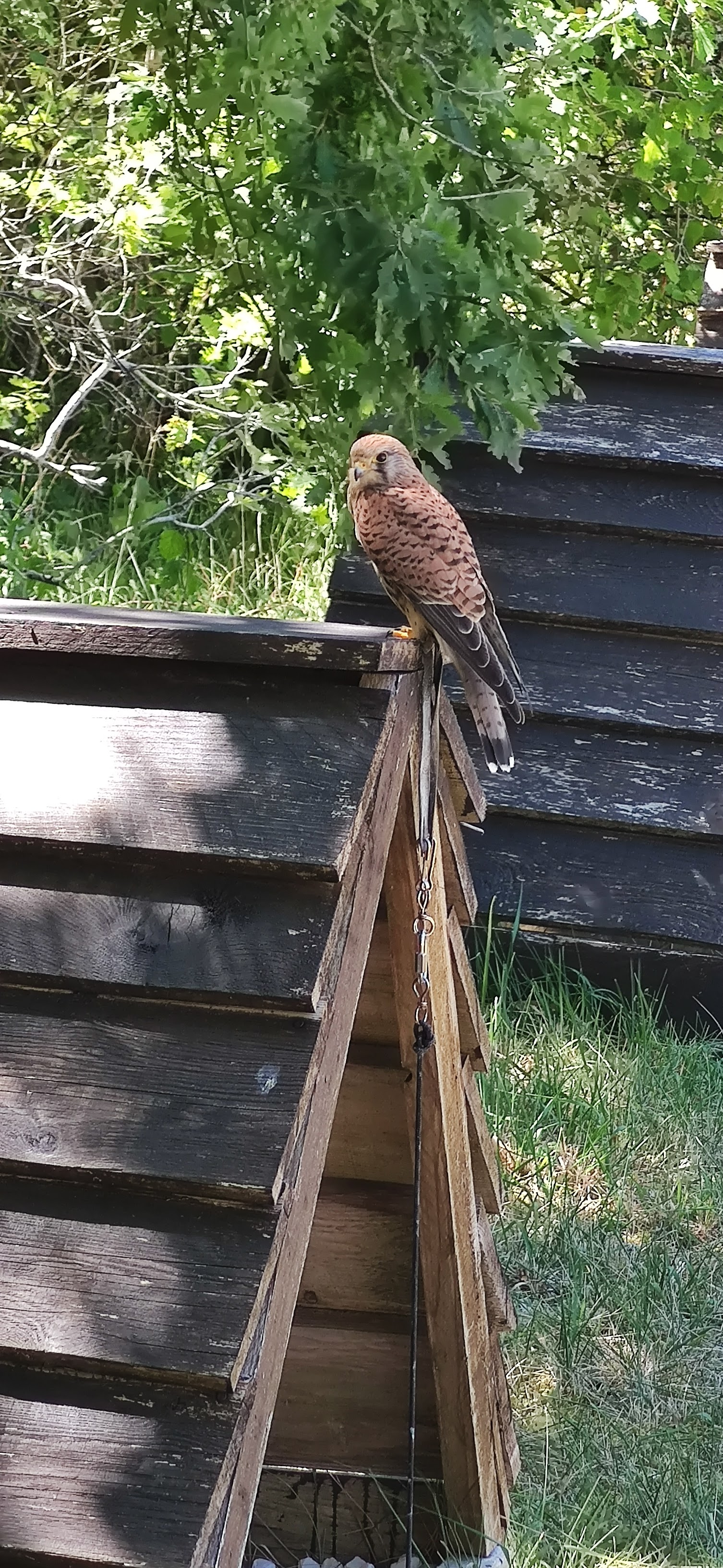 Photo n° 4 de l'avis de blanc.l fait le 13/08/2020 à 11:47