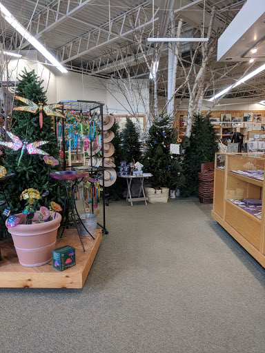 Gift Shop «The Hoot», reviews and photos, 86 Storrs Rd, Willimantic, CT 06226, USA